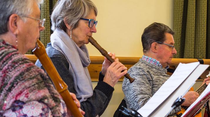 Sussex Folk Orchestra