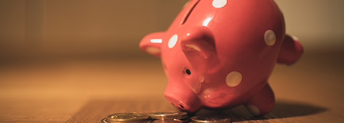 Pink pig piggy bank